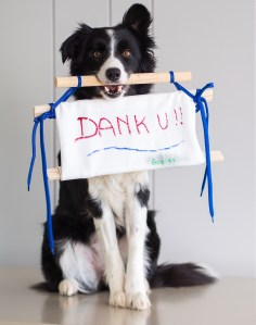 ter publicatie Pagina 4