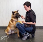 mechelse-herder-mila-3-2-small