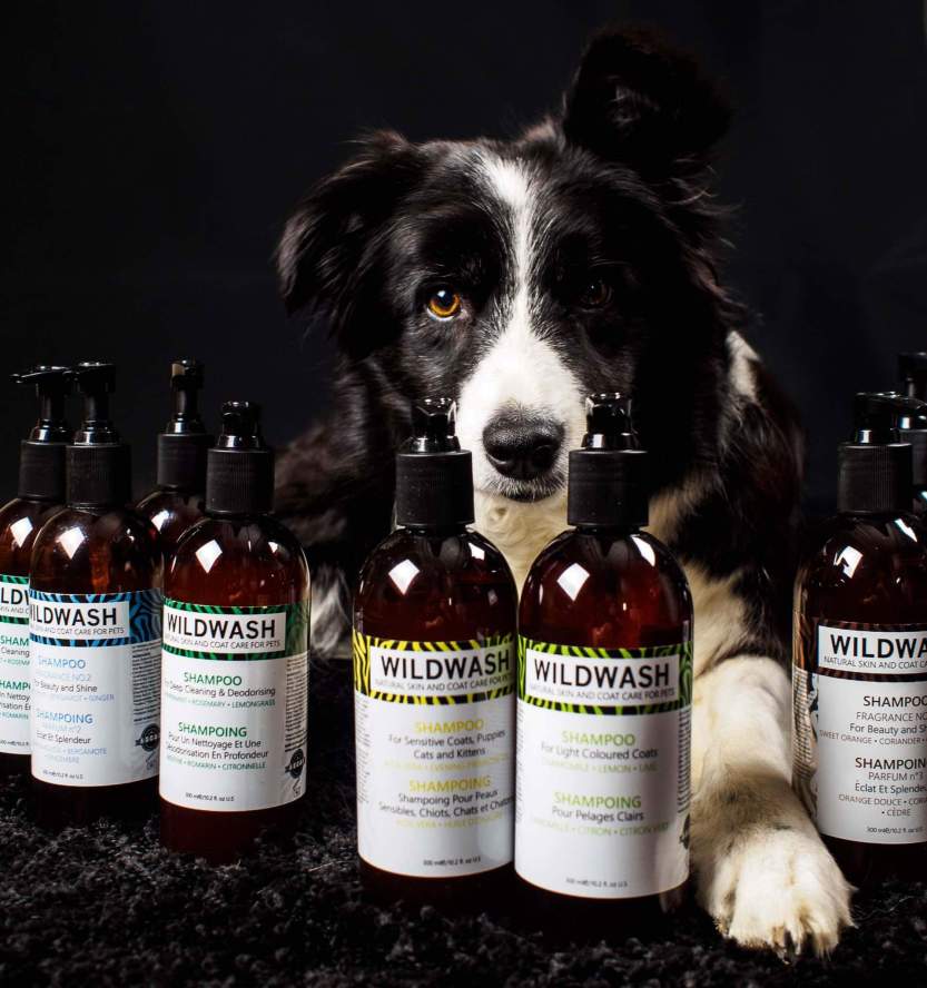 FB_IMG_1469628587896