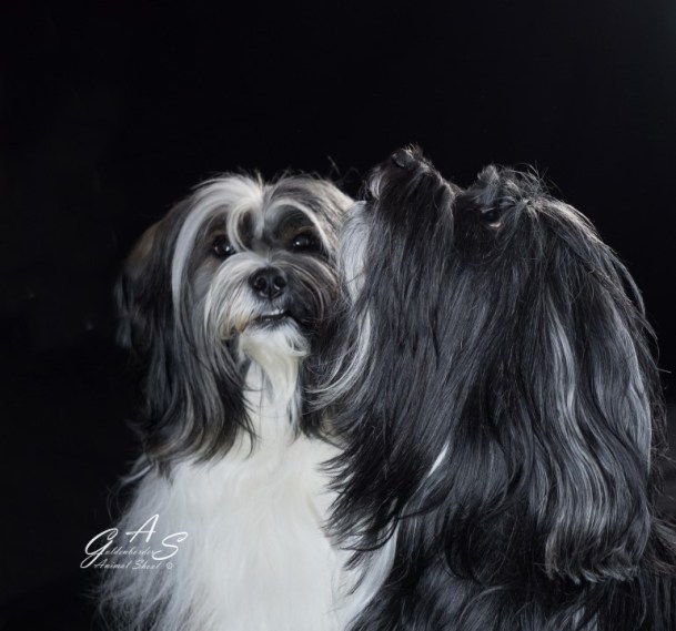 Canvas 60 x 60 2 cm kleur (Custom)